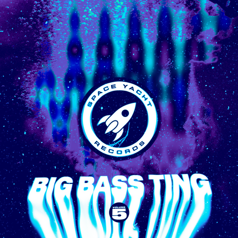 BIG BASS TING VOL. 5 (DELUXE DOWNLOAD)
